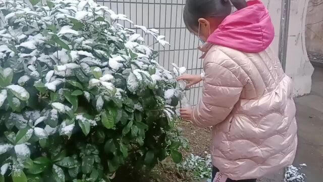 看孩子们欢快得玩雪,我咋也跟着这么开心呢?仿佛回到了小时候