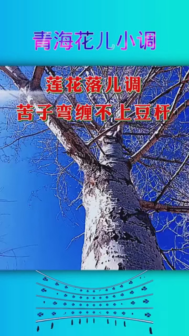 四季花小调青海花儿图片