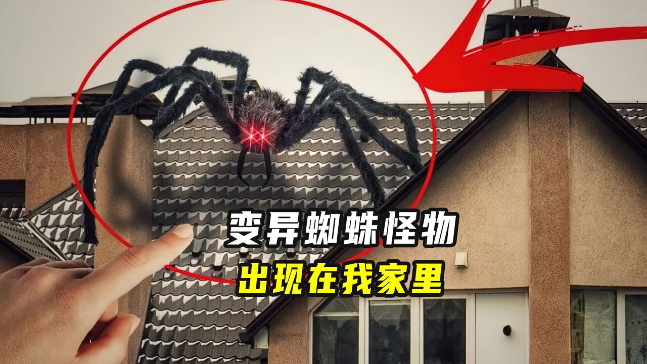 变异的巨大蜘蛛,来到了我家里,还想用蛛丝困住我