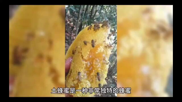 如何制作一碗美味的沙拉在新疆我们做沙拉,就是半碗土蜂蜜,