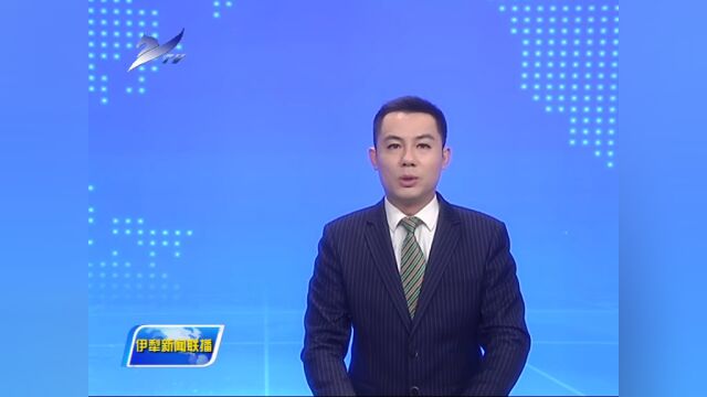 文化进万家 | 文化活动丰富多彩 群众乐享文化年