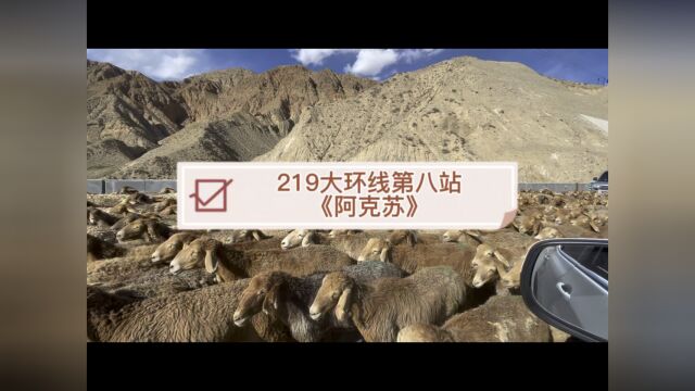 219大环线第八站《阿克苏》