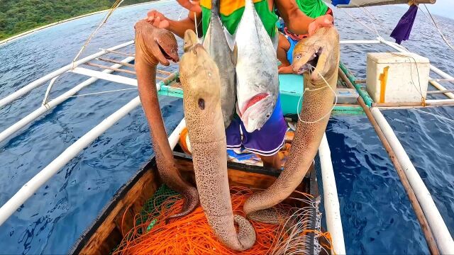 国外高手延绳钓,选浮钓钩几百个抓斑点海鳗鱼,让大家见识一下