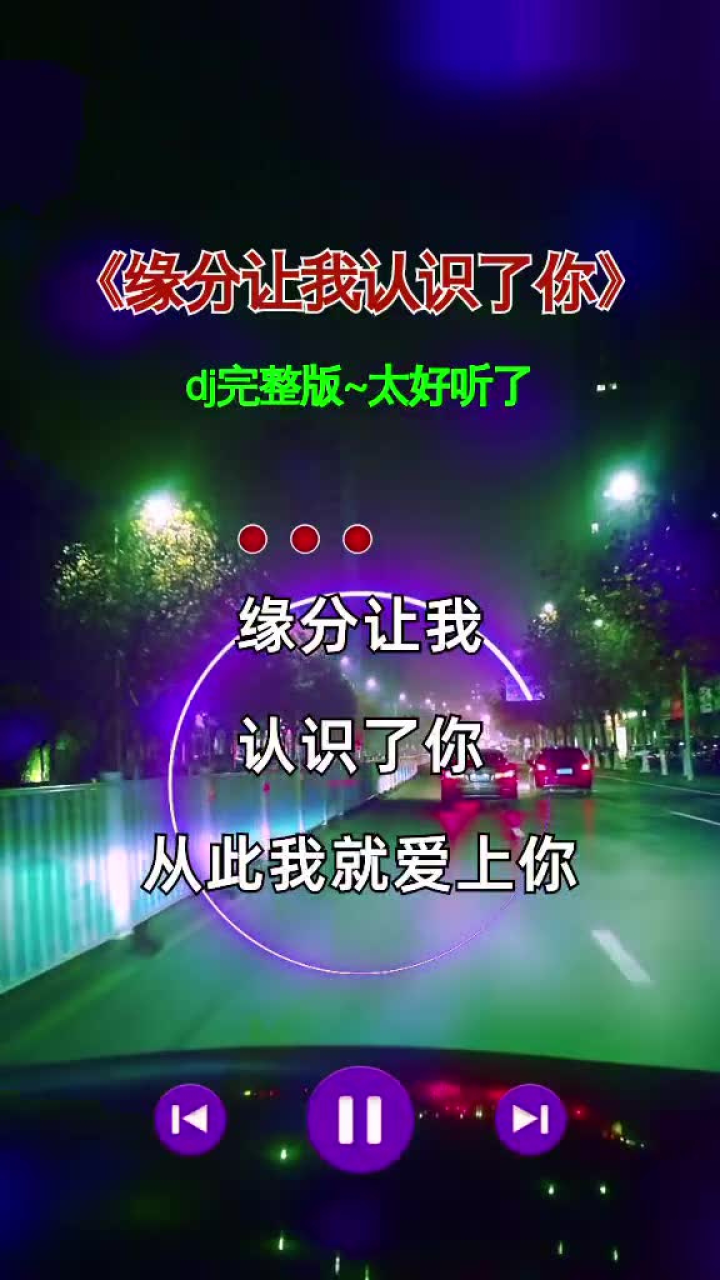 缘分让我认识了你,从此我就爱上了你想着你亲爱的完整版dj版伤感音乐
