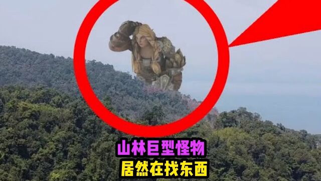 在后山茂密的森林里,我竟然发现了不明巨型怪物,他好像在找什么