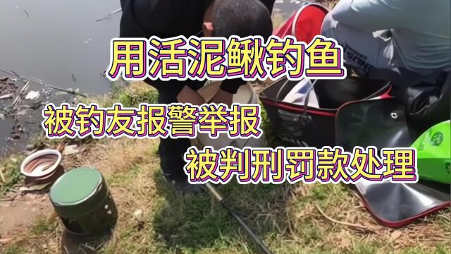 因为用活泥鳅钓鱼,被钓友报警举报被判刑罚款?