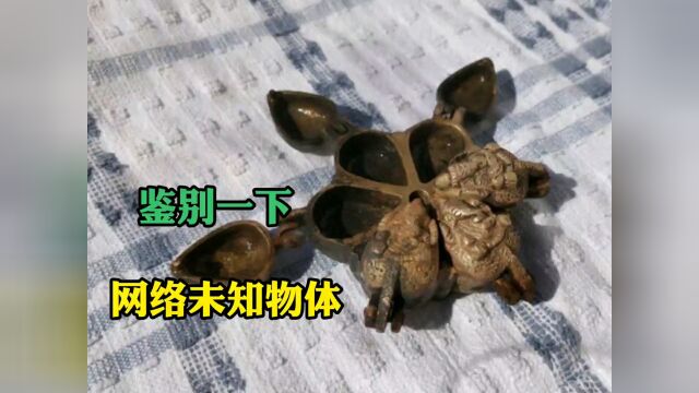 鉴别网络未知物体236:5种你可能见过,但不知道是什么的奇怪物体