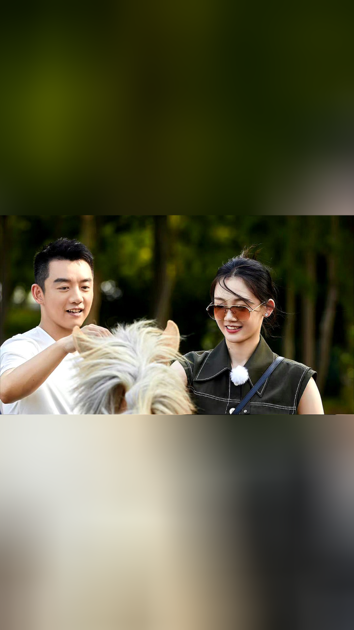 苗苗和郑恺恋爱前先翻一遍采访和电视剧,属实是非常谨慎了