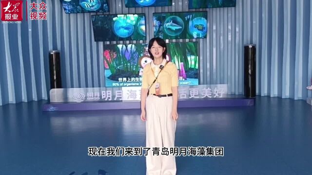 vlog丨跟随外宾打卡明月海藻