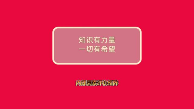 德理创新进化系列——内部因素评价矩