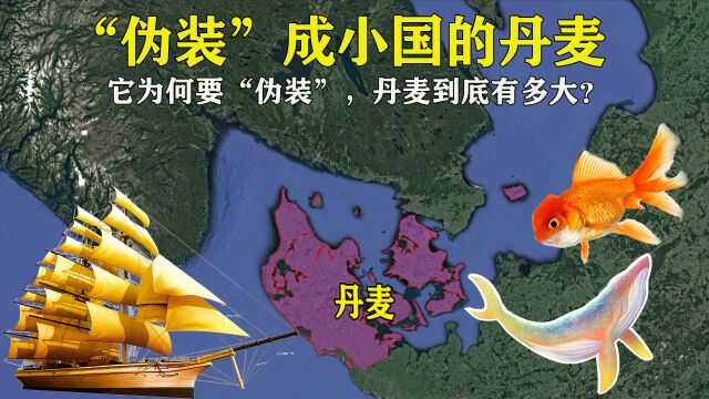 明明有大把领土!为何却“伪装”成欧洲小国!丹麦究竟有多大?