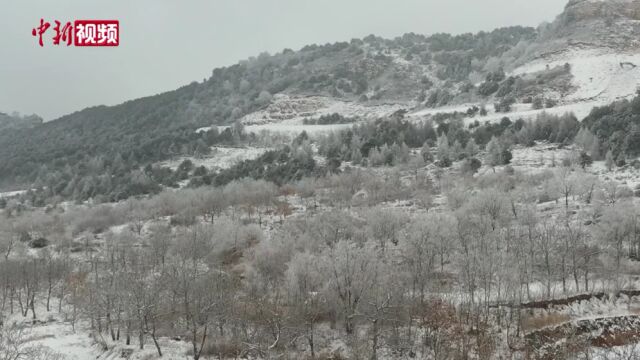 山西左权:革命老区雪后银装素裹