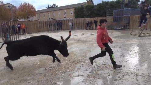 西班牙疯狂斗牛赛，又称为减少人口大赛，真佩服他们的勇气斗牛 动物的迷惑行为 斗牛视频 外国人作死系列