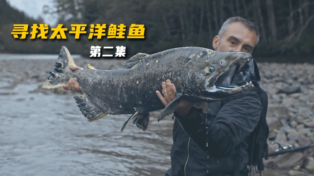 追踪巨型鱼鲑鱼（下）_高清1080P在线观看平台_腾讯视频