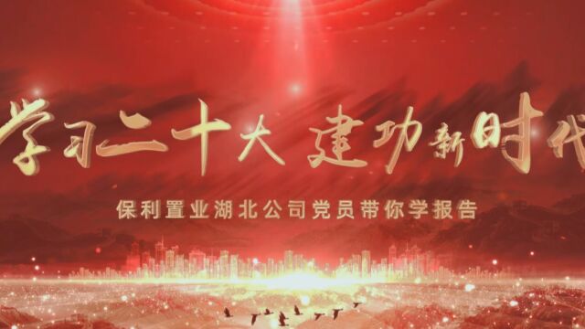 学习二十大 建功新时代丨湖北公司党员宣讲二十大精神系列微视频(封面)