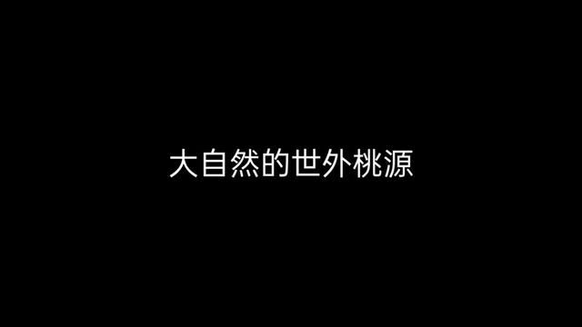 #治愈系风景#大山深处自然美山清水秀好风光 #一起享受大自然的美