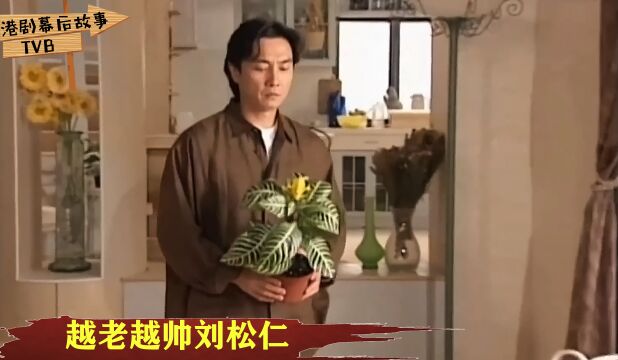 千面郎君刘松仁风云录:40年前TVB顶流小生,绯闻虽多但只爱一人