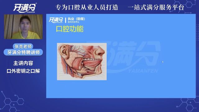 【执业/助理】基础精讲口解——口腔功能