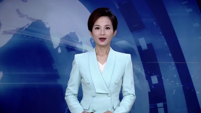 吴晓华到桃城区督导2023年一季度项目集中开工