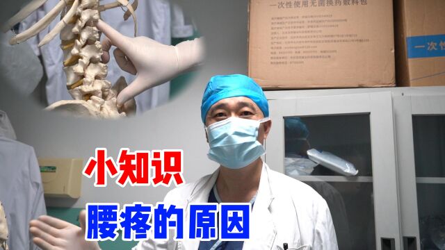 引起腰疼的原因有哪些?听医生细细讲解