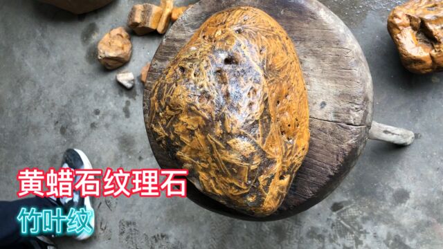 小伙捡到黄蜡石竹叶纹,很少见,发财了