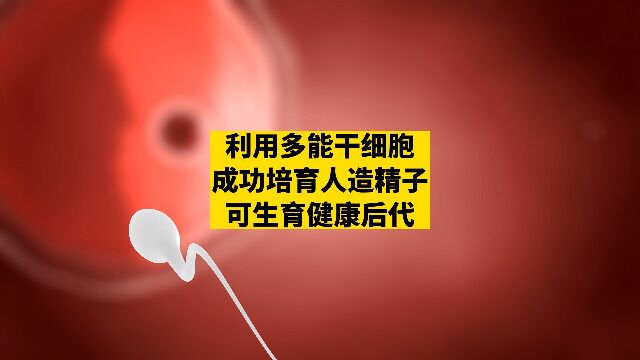 北联世纪利用多能干细胞成功培育人造精子,无精症可生育健康后代