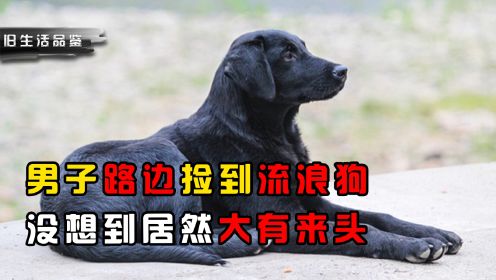 四川男子路边捡到流浪狗，本以为是普通黑狗，其真实身份令人吃惊