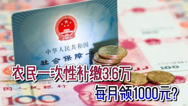 2023年起,农民养老迎来新调整,一次性补缴3.6万,每月领1000元