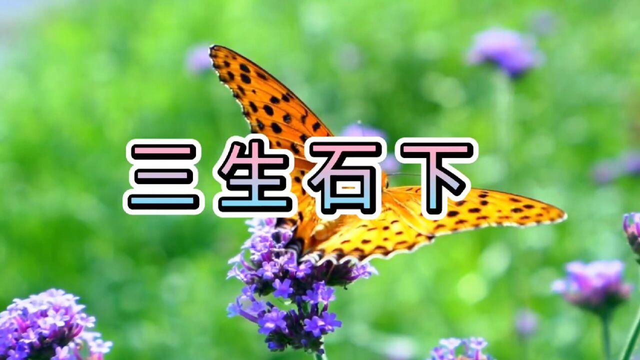 歌曲《三生石下》