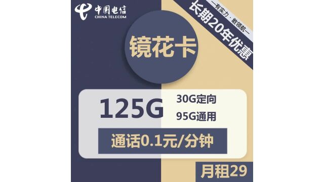 电信镜花卡29元包95G通用+30G+通话0.1元分钟