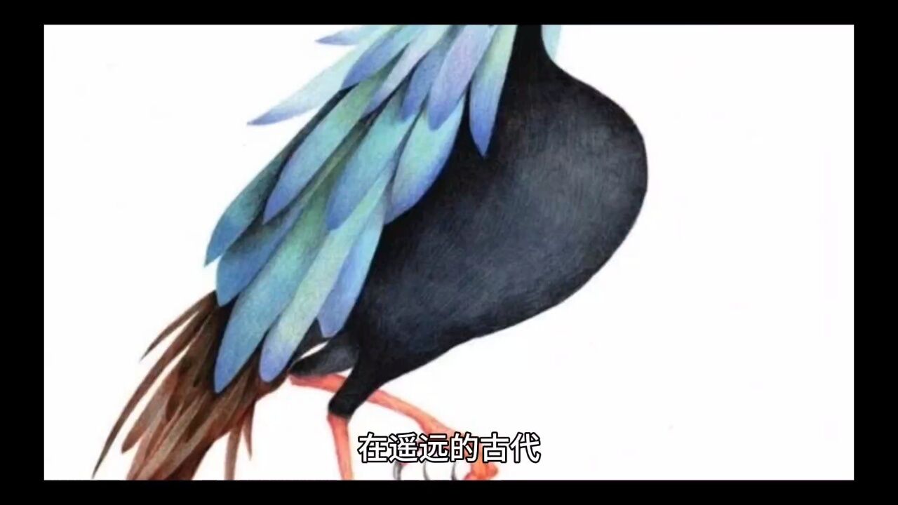 《山海经》异兽之《鸓鸟》_腾讯视频