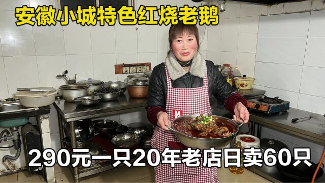 安徽来安9斤半老鹅红烧,一年土鹅现杀现炖290元一只,还能涮火锅