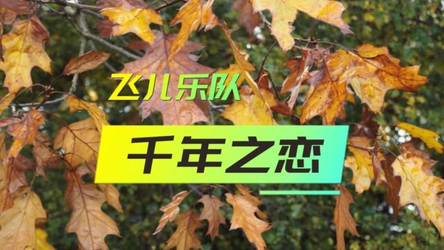 千年之恋飞儿乐队,4K完整版,无损音质,听到前奏满满回忆