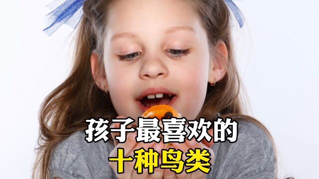 孩子最喜欢的十种鸟类.