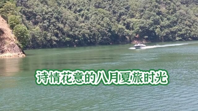 诗情花意的八月夏旅时光