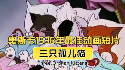 奥斯卡1936年最佳动画短片：三只小孤儿猫