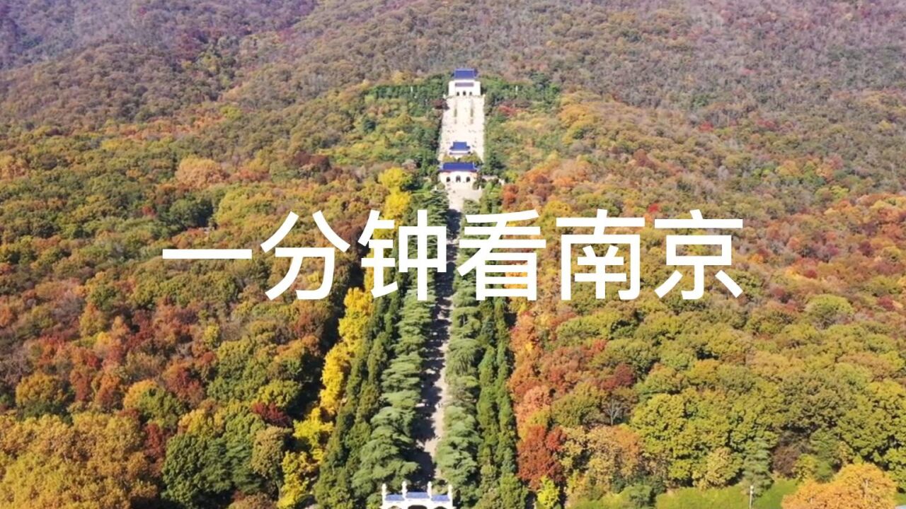 一分看南京：这里有总统府、夫子庙、中山陵、秦淮河、鸭血粉丝汤_高清