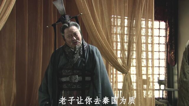 赢疾将穆公剑交给赢稷认可了他.