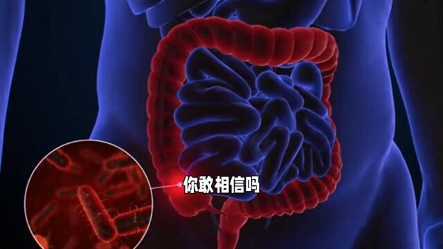 肠道微生物群:人体内最庞大的生物群落