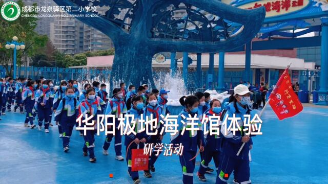 龙泉二小 四年级华阳极地海洋馆体验研学活动