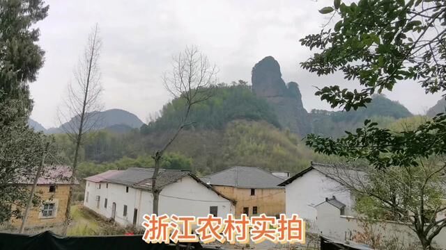 浙江农村实拍,来大红岩旅游无意间闯入世外桃源小山村,风景如画 #村落 #山村 #山村美景