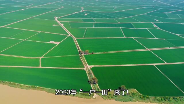 2023年“一户一田”来了!中央拟定:土地归整、小田变大田!