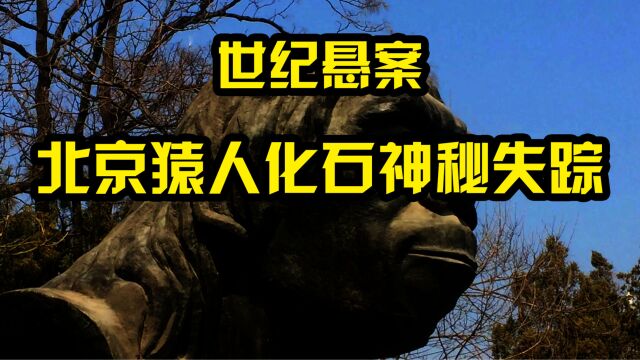 “人类瑰宝”北京猿人化石神秘失踪,背后又有什么样的原因和阴谋