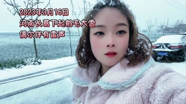 三月桃花雪! #三月的雪 #鹅毛大雪