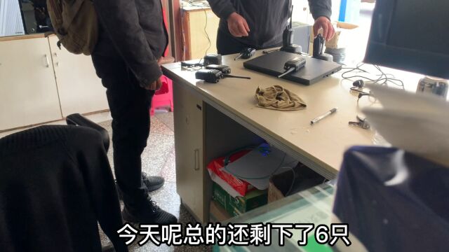 按废品价回收的对讲机,全部以80一对的价格卖了,没有真正的废品