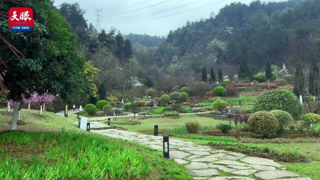 一天逛一座贵阳森林公园 | 春来游园正当时,同去登高望云山