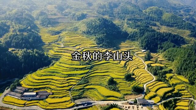 浙江龙泉李山头