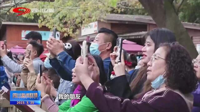 四川新闻联播丨旅游市场复苏强劲 “熊猫热”再添一把火