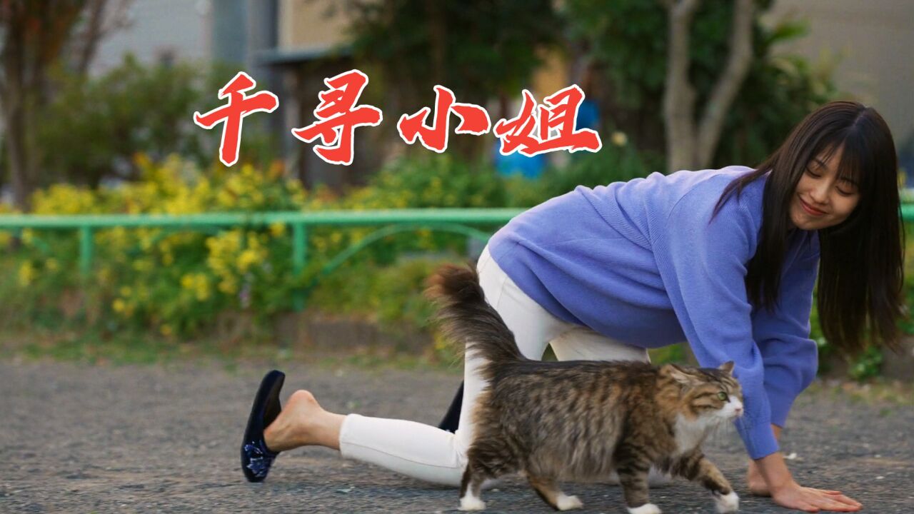 岛国的电影,变态的是真变态,唯美的是真唯美《千寻小姐》_腾讯视频