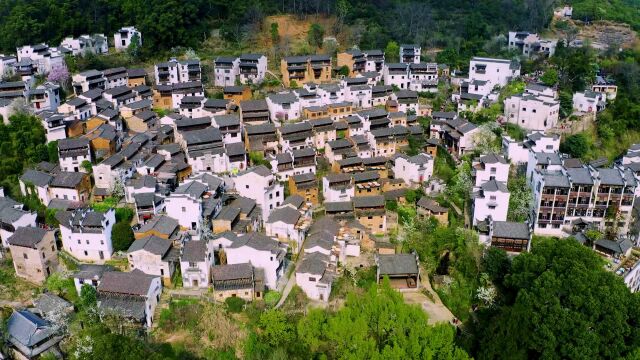 《今日赣鄱》栏目组走进上饶市婺源县自然资源局